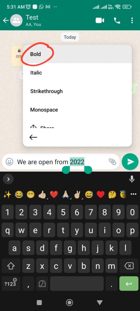 whatsapp bold text 2024
