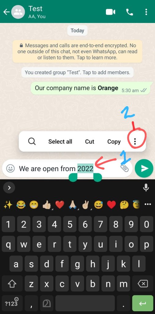 whatsapp bold text
